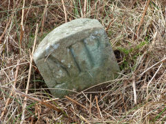 
Henllys Colliery, one of a number of 'MP' (possibly 'Magna Porta') boundary stones at the North of the Upcast site, February 2012