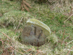 
Henllys Colliery, on the other side of the boundary stones, just an 'M', February 2012