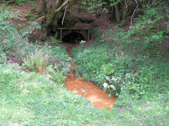 
Cwmcarn, Henllys Colliery drainage level, May 2010