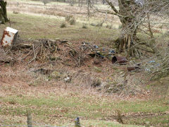 
Henllys Colliery, limekiln or level over Northern boundary fence, February 2012