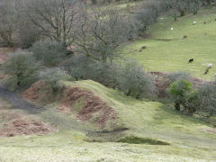 
Henllys Colliery, limekiln or level next to incline below tips, February 2012