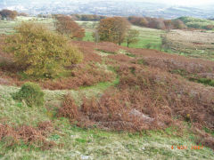 
Henllys Colliery, small quarry incline looking down from halfway, November 2007