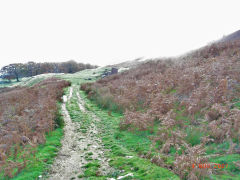 
Henllys Colliery, the upcast site from the end of the tramway tailshunt, November 2007