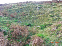 
Henllys Colliery, Northern workings beyond the small quarry, November 2007