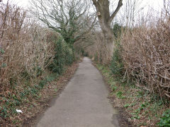 
Course of tramway from Coed Eva Lane looking up, February 2012