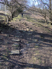 
Henllys Incline, upper incline between Llywarch Lane and Colliery, March 2005