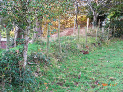 
Henllys Incline, upper incline between Machine Cottage and Llywarch Lane, November 2007
