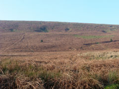 
Garn Wen trial level and quarries, Upper Cwmbran, January 2012