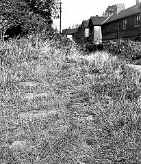 
Pontymoile basin tramroad sleepers, 1952, probably from the Trosnant Tramroad, © Photo courtesy of the 'Railway and Canal Historical Society