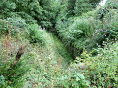 
Tramway tunnel approach, Pontypool, August 2011