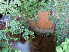 
Trosnant stream weir sluice gate, Pontypool, August 2011