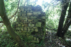 
Albion Slope ruins, Lower Race, October 2010