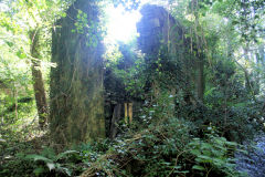 
Albion Slope ruins, Lower Race, October 2010