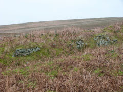 
Rifle range butts at ST 2717 9822, Cwm Lickey, January 2012