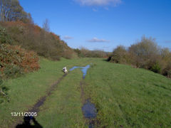 
Trackbed looking towards Hafodyrynys, November 2005