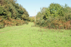 
Trackbed looking towards Hafodyrynys, November 2005