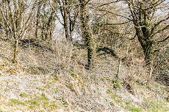 
Coch-y-North incline, Old Furnace, March 2015