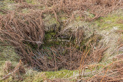 
Air shaft to the side of the tramway, Cwm Lickey Colliery, February 2015