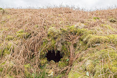 
Cwm Lickey middle pond overflow outlet, February 2015