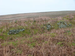 
Rifle range butts at ST 2717 9822, Cwm Lickey, January 2012