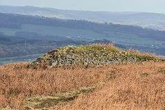 
The furthest target on the rifle range, Cwm Lickey, February 2016