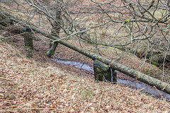 
Upper reservoir pipeline, Cwm Lickey, February 2015