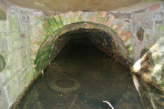 
Gypsy Level, Old Furnace, October 2010