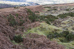 
The Scourings, Penyrheol, February 2015