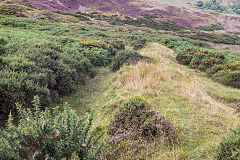 
The Scourings middle reservoir, August 2017