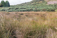 
The Scourings reservoir, August 2017