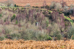 
Penyrheol Reservoir and the Mountain Level air shaft, February 2016