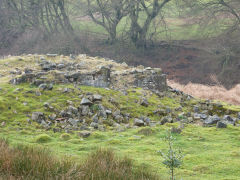 
Rose Cottage, Cwm Lickey, January 2012