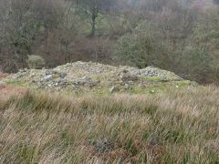 
Rose Cottage, Cwm Lickey, January 2012