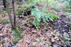 
Glyn Level no 1, foundations (of furnace?), October 2010