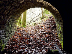 
Glyn Level No 2 entrance, April 2011