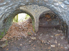 
Glyn Level No 2 entrance and furnace, April 2011