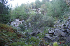 
Glyn Quarry left-hand face, October 2010