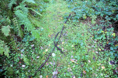 
Quarry Level downcast level haulage cable, October 2010