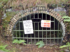 
Quarry Level upcast level's shiny new gate complete with Bat gap! 2011 