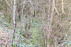 
Incline looking up, Quarry Level, Glyn Valley, March 2015