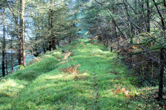 
Quarry Level siding on Blaendare branch, October 2010