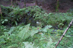 
Quarry Level fanhouse and furnace foundations, October 2010