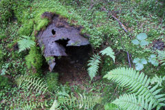 
Quarry Level furnace flue, identified from old photos, October 2010