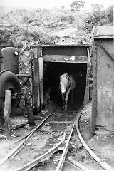 
Penyrheol Colliery c1970-80 © Photo courtesy of 'Monmouthshire Memories' Facebook group