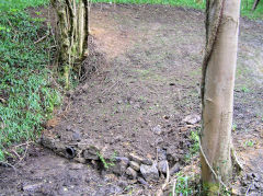 
Gypsy Lane drainage level, Cwm-nant-ddu, May 2010