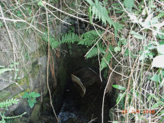 
The British, Northern end of a culvert, June 2008