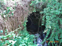 
The British, Southern end of a culvert, June 2008