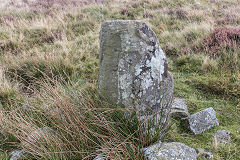 
Boundary stone near Canada Tips with probably 'B' for Breconshire and 'M' for Monmouthshire, September 2017