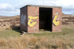 
Canada Tips building at SO 2450 1081, Blaenavon, March 2010