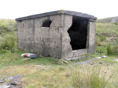 
Canada Tips building at SO 2296 1140, Blaenavon, July 2010